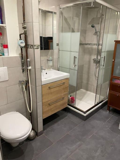Appartement Proche Metro Villejuif La エクステリア 写真