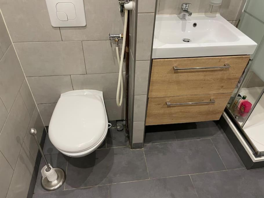 Appartement Proche Metro Villejuif La エクステリア 写真